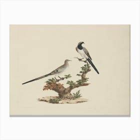 Doves On A Branch 1 Canvas Print