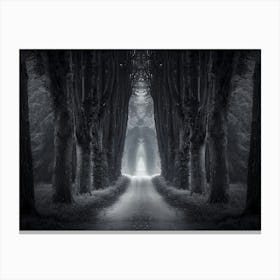 Dark Forest Path Canvas Print