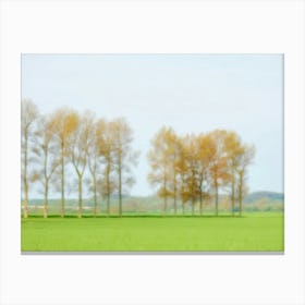 Tree Lined Landscape In Spring Canvas Print