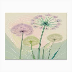 Allium 24 Canvas Print