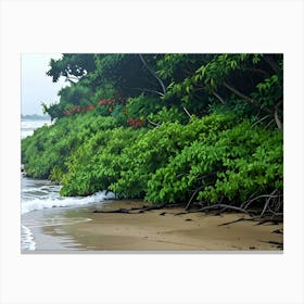 Sri Lanka Beach Canvas Print