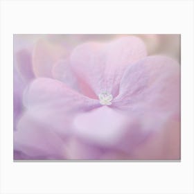 Purple Hydrangea Canvas Print