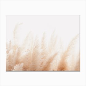 Pampas Blowing In The Wind Canvas Print