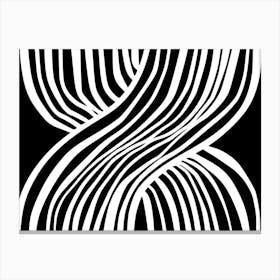 Abstract Zebra Stripes Canvas Print