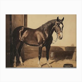 Horse In A Stable Canvas Print