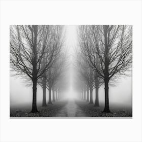 Foggy Path 2 Canvas Print