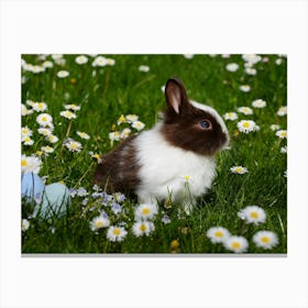 Easter Bunny 30 Canvas Print
