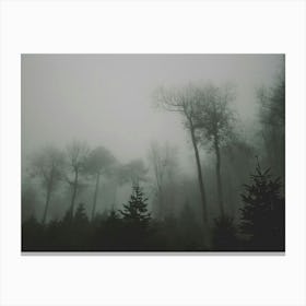 Foggy Forest 4 Canvas Print