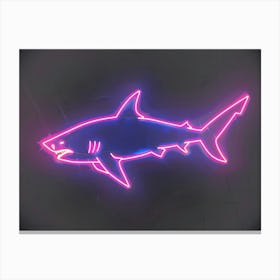 Neon Magenta Angel Shark 1 Canvas Print