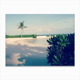 Beach With Palm Trees maldives Canvas Print
