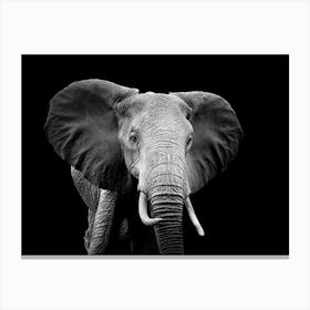 Black And White Elephant 1 Canvas Print