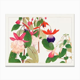 Fuchsia Flower, Japanese Woodblock Canvas Print