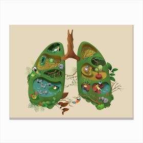 Lung Canvas Print
