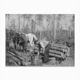 Untitled Photo, Possibly Related To Piling Timber At Camp Near Effie, Minnesota By Russell Lee Canvas Print