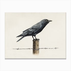 Country Crow Canvas Print