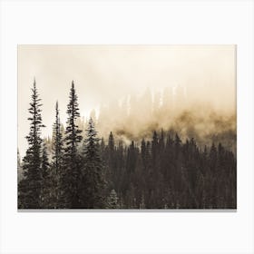 Smokey Forest Canvas Print