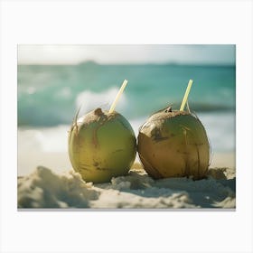 Coconuts On The Beach Canvas Print