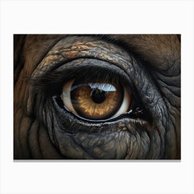 African Buffalo Eye 1 Canvas Print