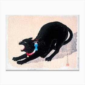 Black Cat Hissing, Hiroaki Takahashi Canvas Print
