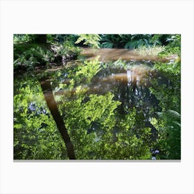 Summer reflection of trees in calm water Canvas Print