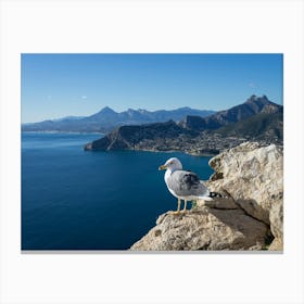 Seagull on the cliffs overlooking the blue Mediterranean Sea Canvas Print