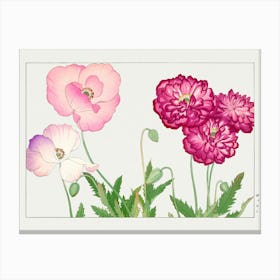 Poppies Canvas Print