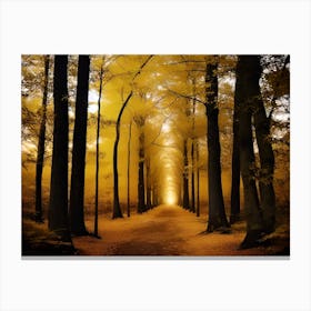 Path Through The Forest 8 Canvas Print