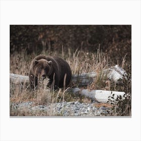 Large Grizzly Bear Canvas Print