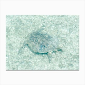 Turtle In The Sea Close To Borneo Canvas Print