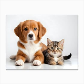 Dog And Cat 06 Canvas Print