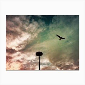 Picture Of Freedom Canvas Print