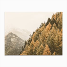 Autumn Trees Canvas Print