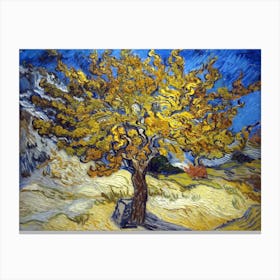 Mulberry Tree, 1889 By Vincent Van Gogh Canvas Print