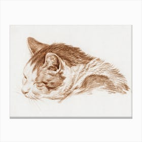 Head Of A Sleeping Cat, Jean Bernard Canvas Print