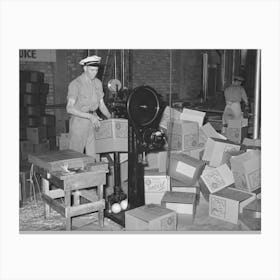 Stitching Cardboard Boxes, Grapefruit Canning Plant, Weslaco, Texas By Russell Lee Canvas Print