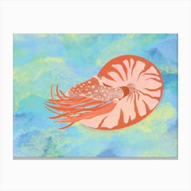 Nautilus Swirl Toile