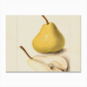 Pears 1 Canvas Print