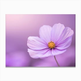 Purple Cosmos Flower Canvas Print