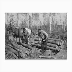 Piling Timber At Camp Near Effie, Minnesota By Russell Lee Canvas Print