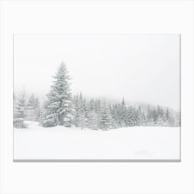 Snow Covered Forest Canvas Print