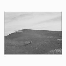 Untitled Photo, Possibly Related To Harrowing Summer Fallow (Wheat Land), Nez Perce County, Idaho By Russell Lee Canvas Print