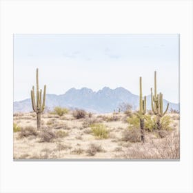 Four Peaks Desert Scenery Canvas Print