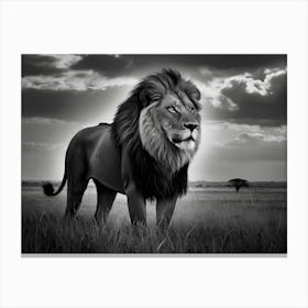 Lion In The Grass Canvas Print