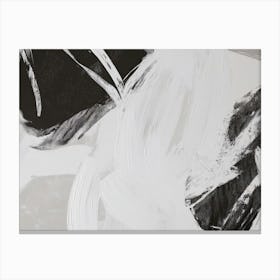 Abstract - Black And White Canvas Print