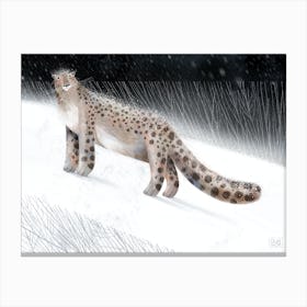 Snow leopard Canvas Print