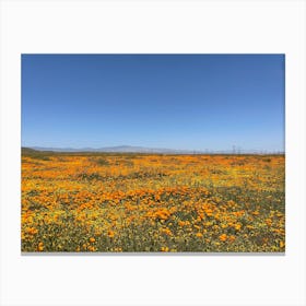 Antelope Valley - poppy flower field Canvas Print