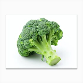 Broccoli 2 Canvas Print