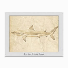 Isistius Genus Shark Silhouette 2 Poster Canvas Print