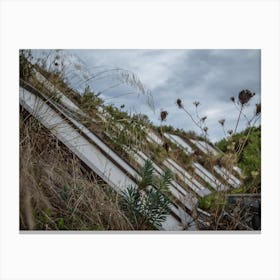 Building With Grass And Vegetation Along Balconies On Cold Winter Day Canvas Print