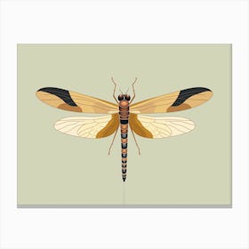 Dragonfly Halloween Pennat Celithemis 3 Canvas Print